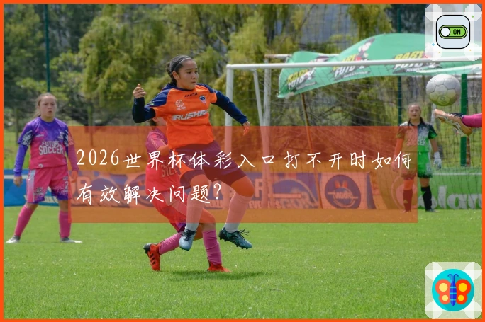 2026世界杯体彩入口打不开时如何有效解决问题？