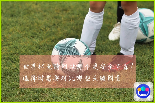 世界杯竞猜网站哪个更安全可靠？选择时需要对比哪些关键因素